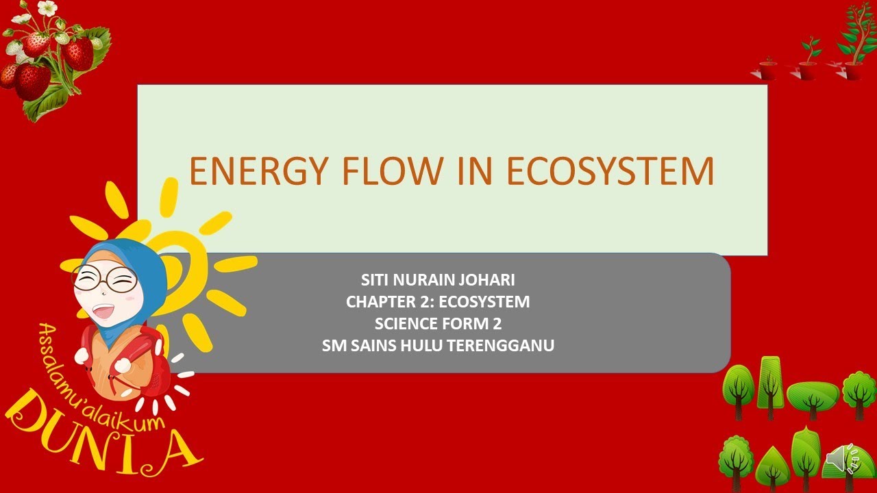 Science Form 2 DLP KSSM Chapter 2 (2.1 Energy Flow in Ecosystem)