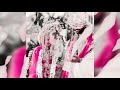 Katrina And Vicky Marriage Status Viedo Katrinakaif Vickykaushal Shorts Lovestatus