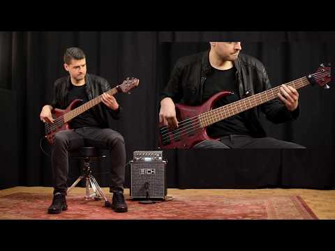EICH T1000 Black Edition | 1000W Bass Amp Head image 8