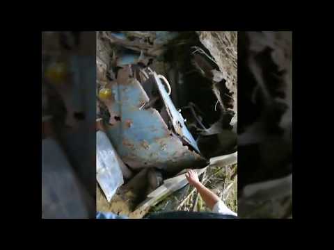 vw t1 kastenwagen von 1964 (waldfund)