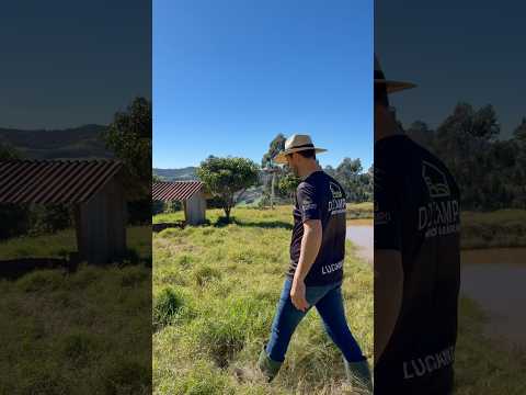 Sítio de 17,5 hectares em Santa Catarina #rural #fazenda