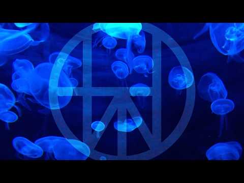 Those Who Dream By Day - ...for YOU