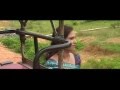 Rupa Gori Se Dila Re New Nagpuri Song 2023 Sadri Song