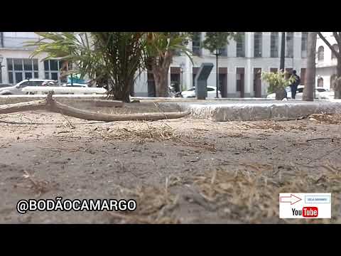DEPRESSÃO TEM CURA? PRAÇA JOÃO LISBOA, SÃO LUIS MARANHÃO 