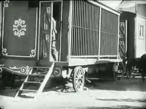 Jay star nice comedi