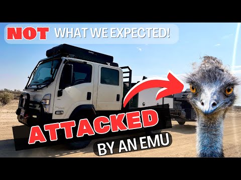 ATTACKED AT CAMP!! - The AUSTRALIAN 4X4 DESERT TRACKS ( OLD Strzelecki Track)- Outback Australia