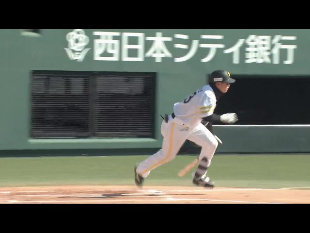 【春季教育リーグ】綺麗なセンター返し!! ホークス・廣瀬隆太が春季教育リーグ初ヒットを放つ!! 2024年3月2日 福岡ソフトバンクホークス 対 オリックス・バファローズ