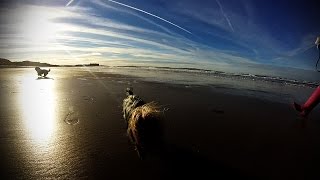 preview picture of video 'Day Out at the beach with the dogs... GoPro Hero 2014 entry camera.'