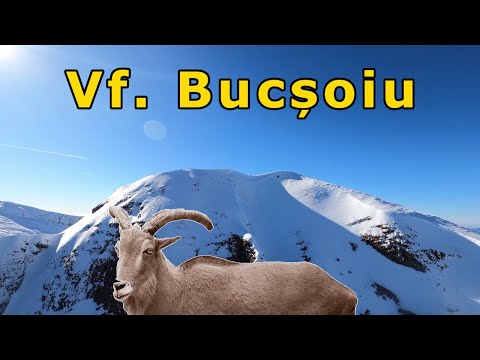 Iarna pe Vf. Bucșoiu | Cinematic FPV