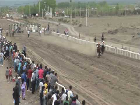 EL 14 Club Hípico Añelo - Domingo 29 de Septiembre de 2024