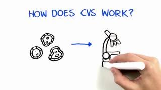 Chorionic Villus Sampling (CVS)