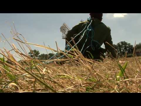 Report From Arnhem Part 1