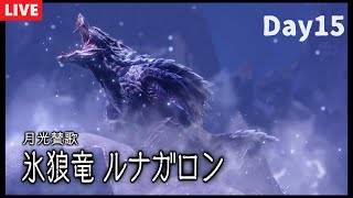 初見モンハンを堪能する男 15日目 ルナガロン編　 【モンスターハンターサンブレイク初見プレイ】