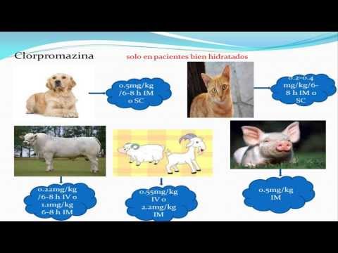 EMETICOS Y ANTIEMETICOS