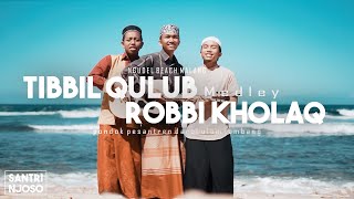 Download lagu Medley Sholawat Thibbil Qulub Robbi Kholaq Santri ... mp3