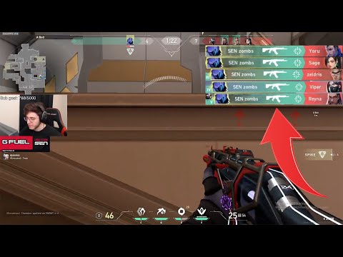 INSANE 1v5 Ace Clutch against Zombs Zellsis