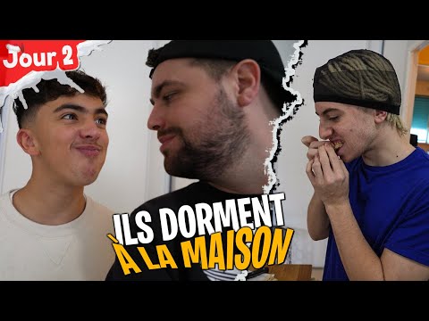 Inox, Michou & Dobby slept at home - Day 2