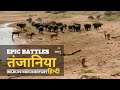 Epic Battles, तंजानिया [2023] हिन्दी डॉक्यूमेंट्री | Wildlife docu