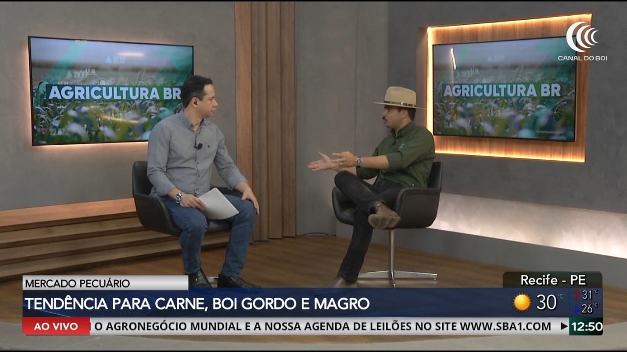 Redução da oferta de bezerros mantém mercado da carne bovina brasileira aquecido