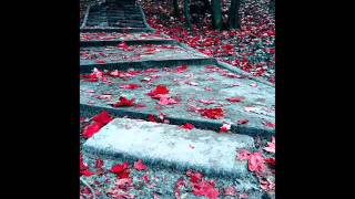 Julie Christmas - If You Go Away