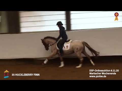 Trainingsimpressionen KN 34 HUCKLEBERRY FINN 3-j. Reitponywallach *Marbacher Wochenende 2020*
