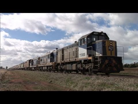 El Zorro Grain train at Oaklands  Sat 14/05/11