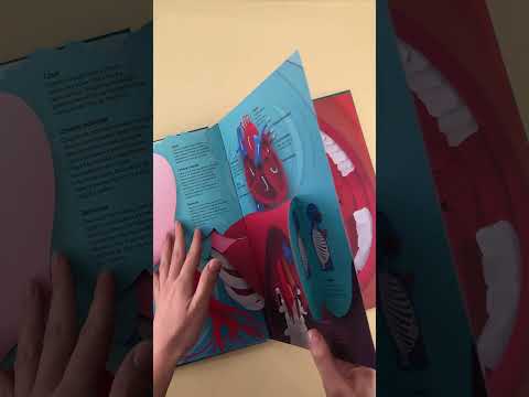 PAPIRNI SVET: LJUDSKO TELO