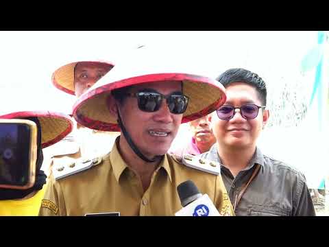 PANEN PADI PERDANA DI DESA TAMBAKSARI-ROWOSARI