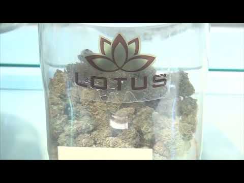 NY Cannabis Retail Sales