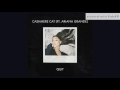 Cashmere Cat & Ariana Grande - Quit - (Clean Edit) *Snippet* [Info In Description]