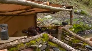 Download lagu Primitive Cozy Fishing Bushcraft Shelter mp3