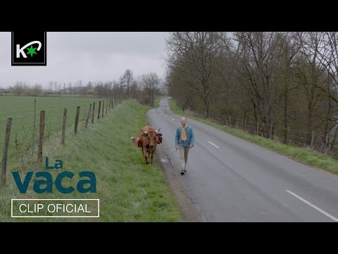 Trailer en V.O.S.E. de La vaca
