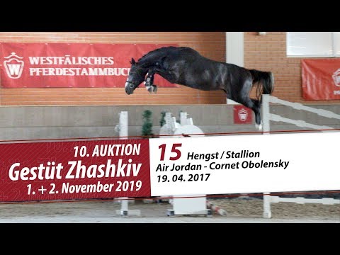 15 Hengst / Stallion v. Air Jordan - Cornet Obolensky