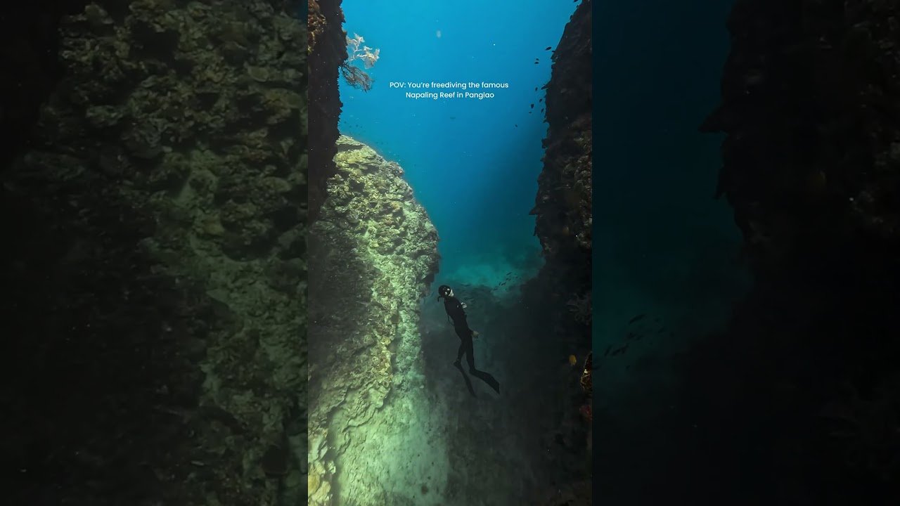 YouTube Short thumbnail