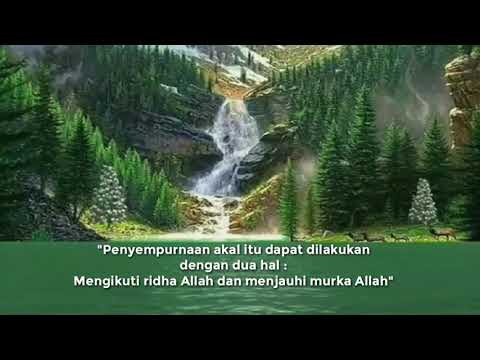 PENYEMPURNAAN AKAL | AYU RISTA