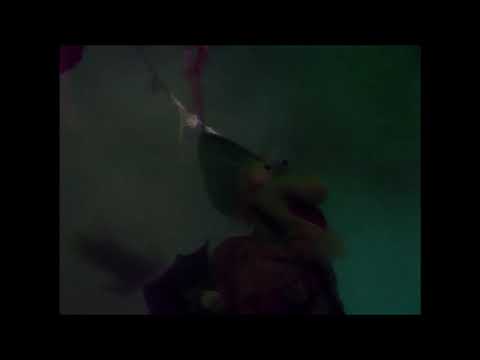 Fraggle Rock - The Ballad of Sir Blunderbrain