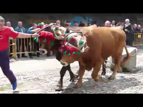 San Isidro jaia Asteasun