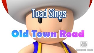 Cover art for toad sing old town road