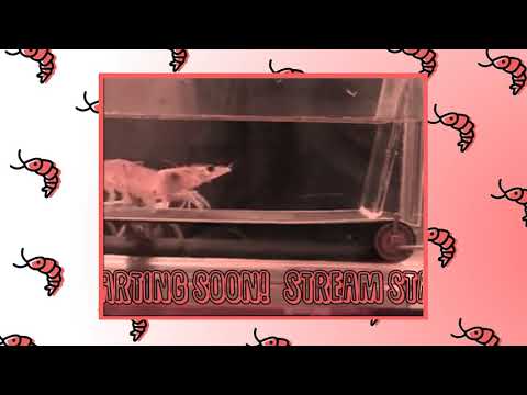 Judgment Twitch Playthrough pt 7