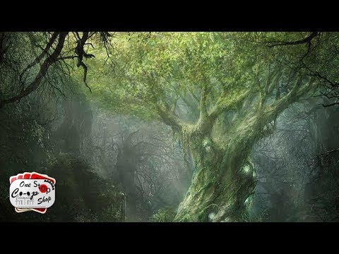 Mirkwood Cycle: Adventure 6 - Return to Mirkwood Playthrough