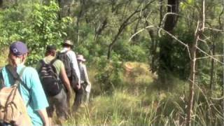 preview picture of video 'Climbing Mount Larcom (1 of 9)'