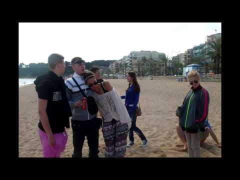 Roman - Alkohol u krvi