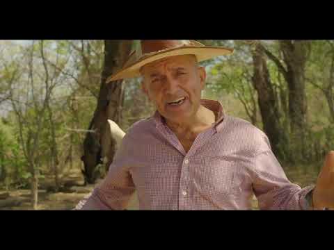 Vivo a mi Modo   Negro Palma