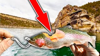 These Savage Fish are DESTROYING the Trout Population!! (I caught them)