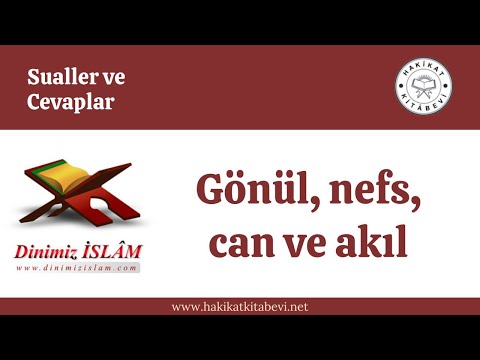 Gönül, nefs, can ve akıl