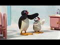 Pingu S05e25 Pingu Pancakes Dvdrip Xvid