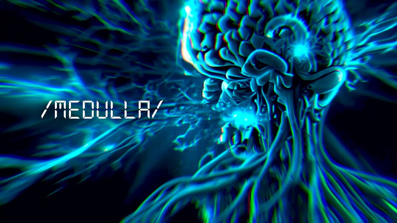 Medulla