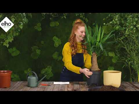 elho how-to-use: self-watering insert