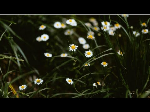 Heard Right - Summer Mix 2025