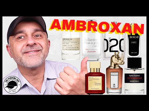 TOP 20 AMBROXAN FRAGRANCES | WHAT IS AMBROXAN? | WHAT DOES AMBROXAN SMELL LIKE?